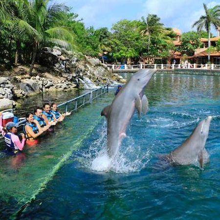 Increible Estudio En Puerto Aventuras, Condominio Con Alberca 외부 사진